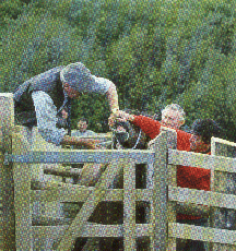 unhandled ponies require skilled volunteers and strong equipment