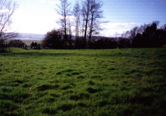 Management by mowing