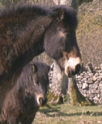 When's it our turn to lie down? 