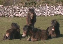 It's nice out, isn't it?